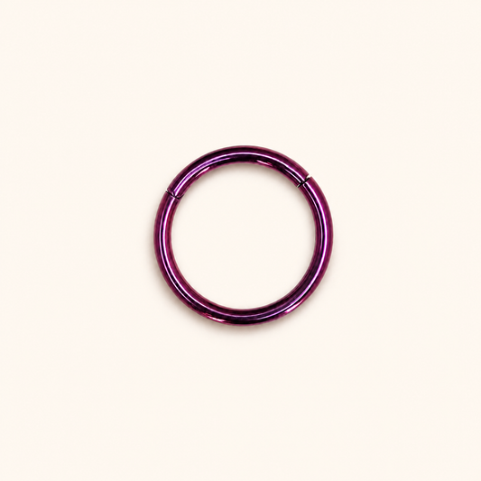 Fuchsia Titanium Segment Clicker Ring
