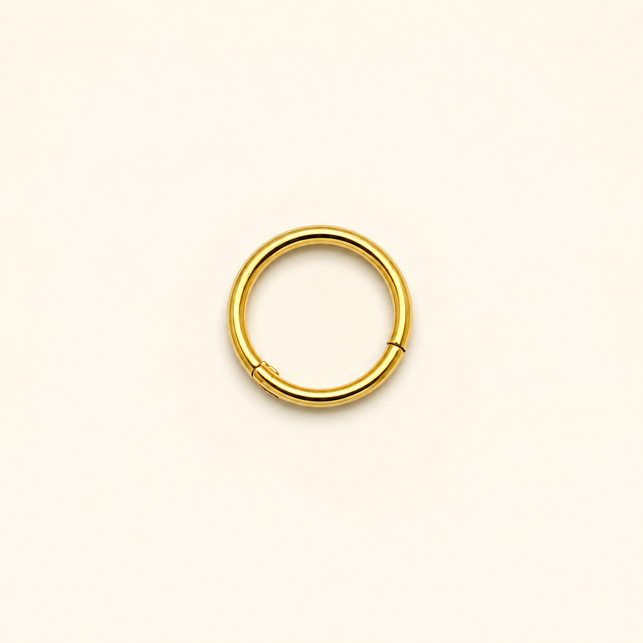 Gold Titanium Segment Clicker Ring