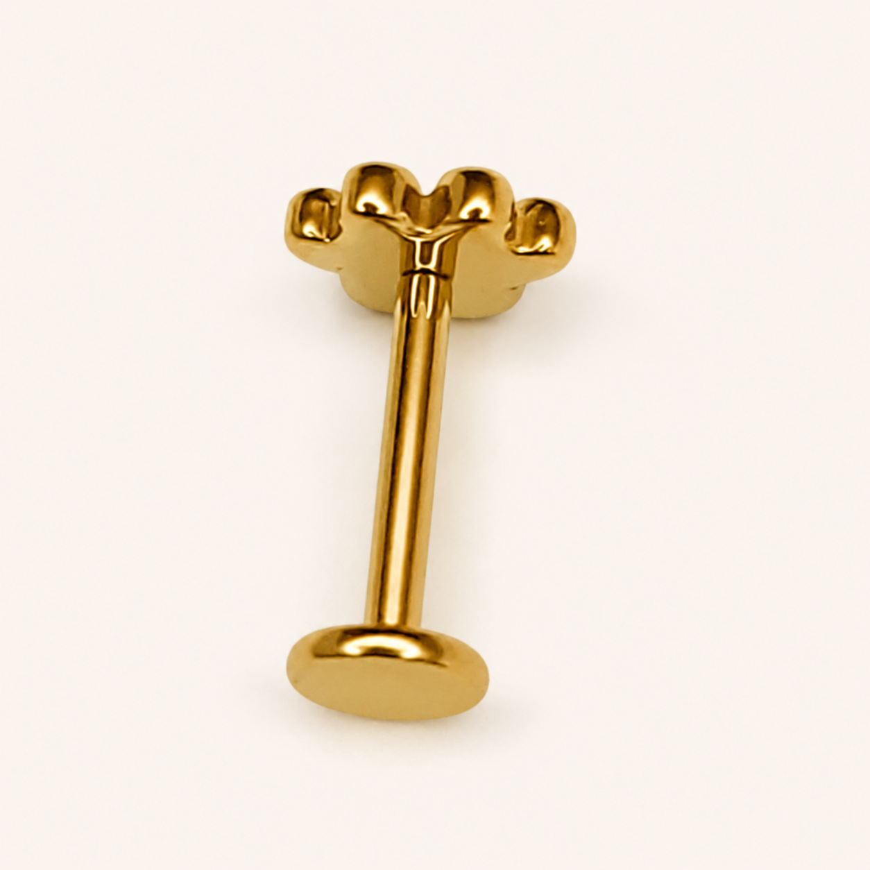 Gold Titanium Paw Labret