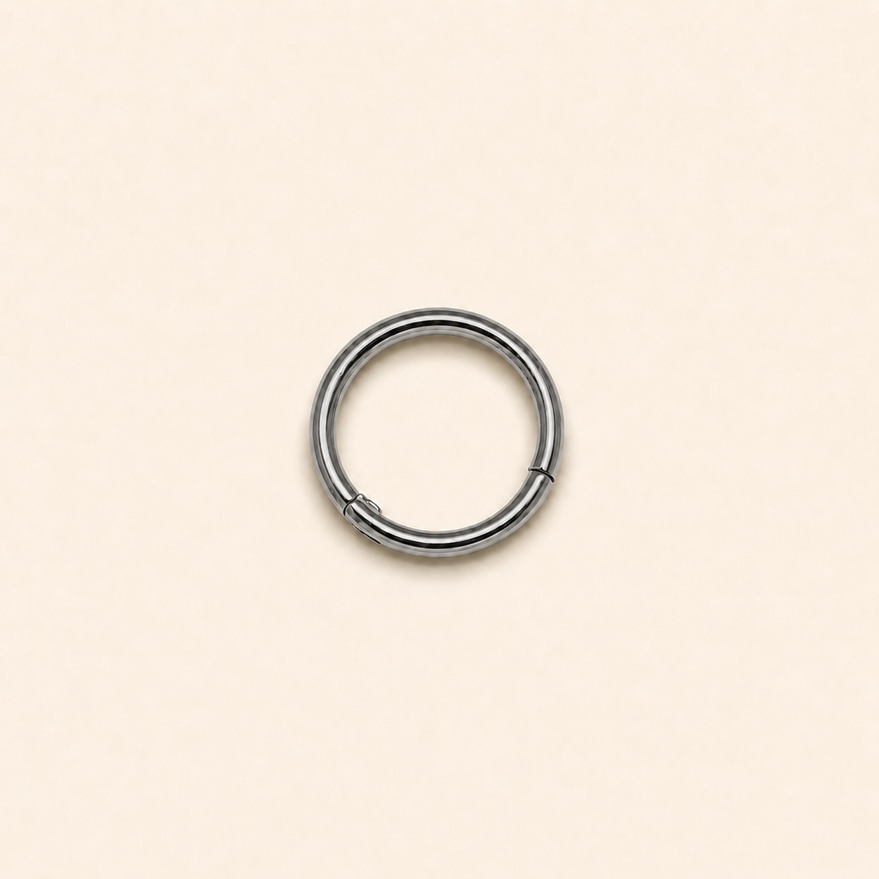 Silver Titanium Hinged Segment Clicker Ring